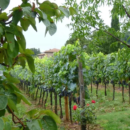 Casa de Férias Air-conditioned Flat With Pool And Wellness Area *