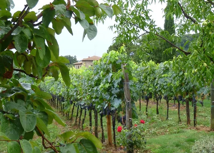 Casa de Férias Air-conditioned Flat With Pool And Wellness Area *