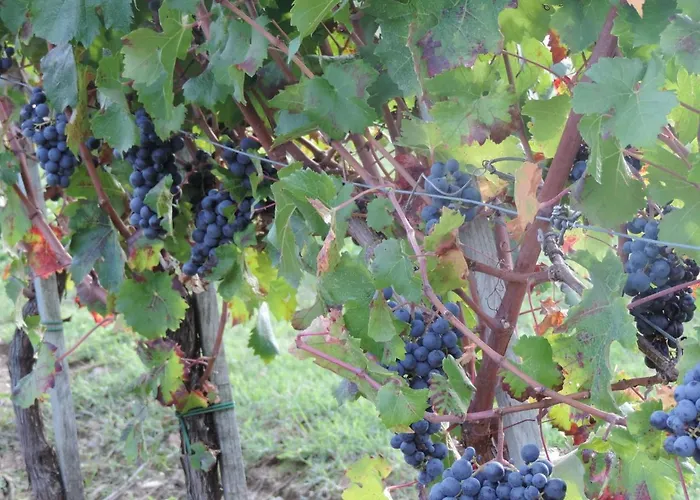 別荘 Air-conditioned Flat With Pool And Wellness Area Città della Pieve